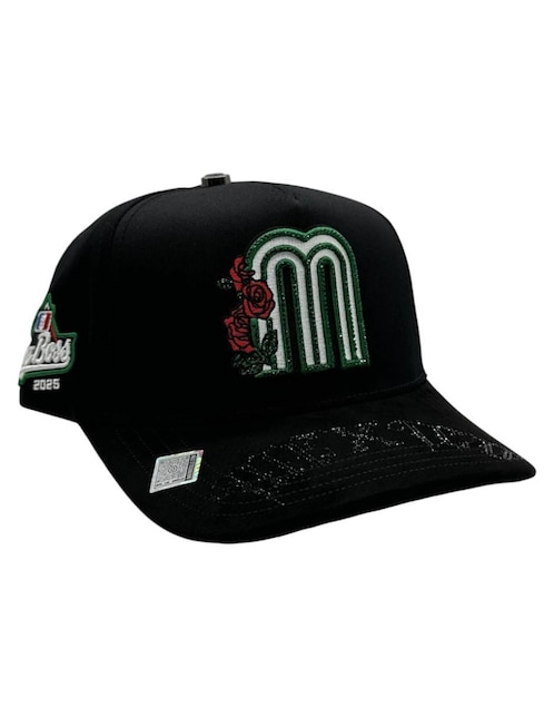 Gorra visera curva snapback casual Big Boss México Rosas para hombre