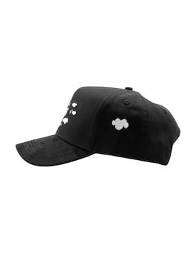 Gorra visera curva snapback casual 31 Hats la clouds money unisex