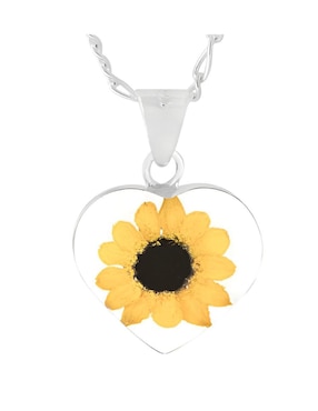 Collar de corazón Xtellar de plata P 925