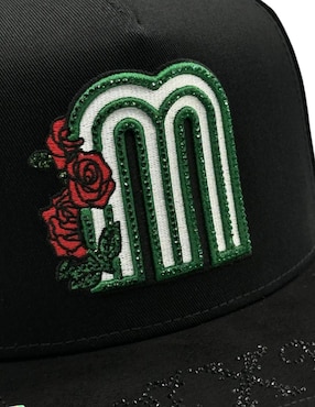 Gorra visera curva snapback casual Big Boss México Rosas para hombre