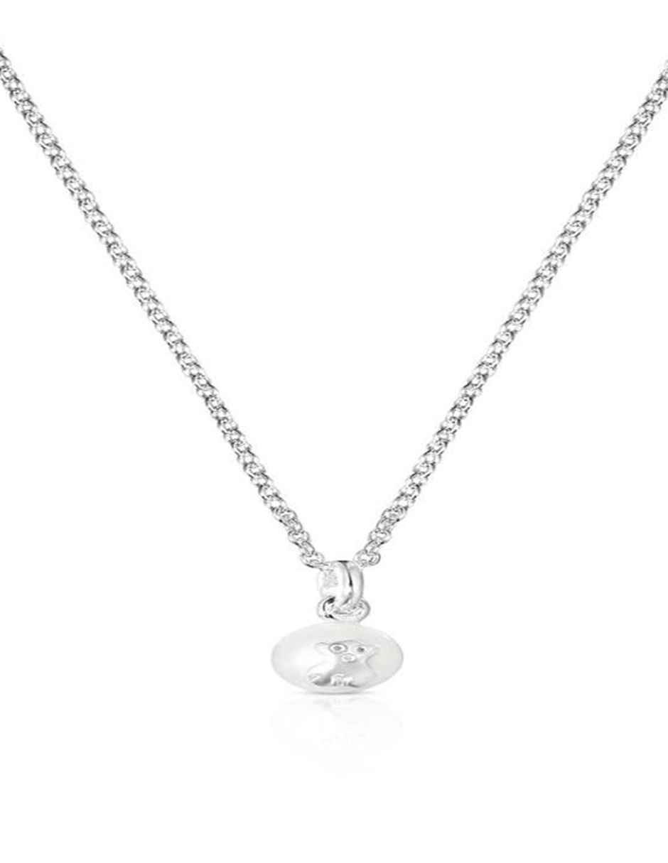 Collar Icon de plata P 925 1