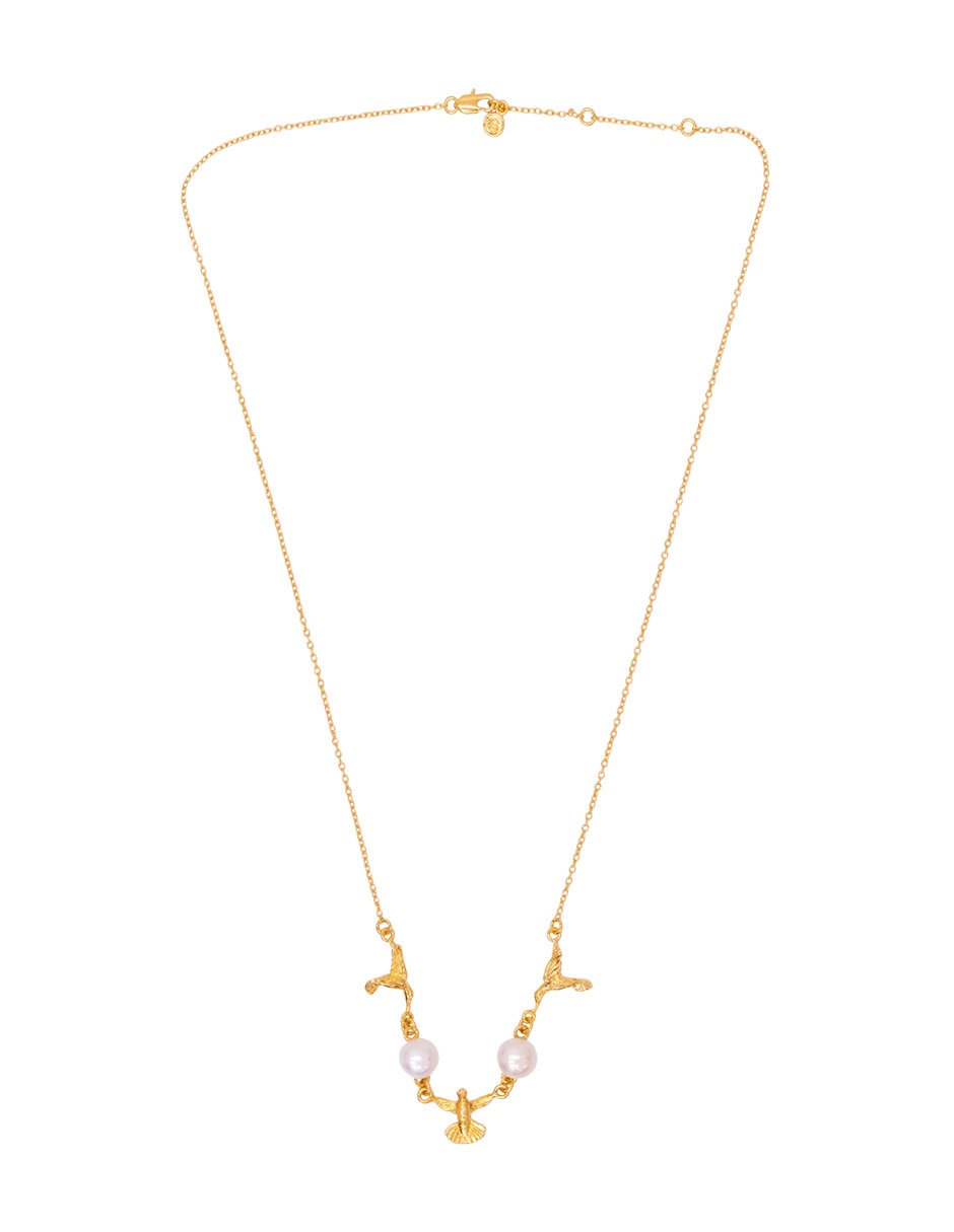 Collar Colibrí chapa de oro 18 k
